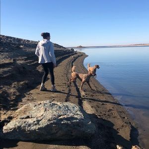 Meet your Posher, Maggi